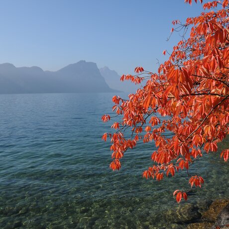 Vierwaldstättersee Vitznau | © Heidi Duss-Bürgi Vierwaldstättersee Vitznau | © Heidi Duss-Bürgi