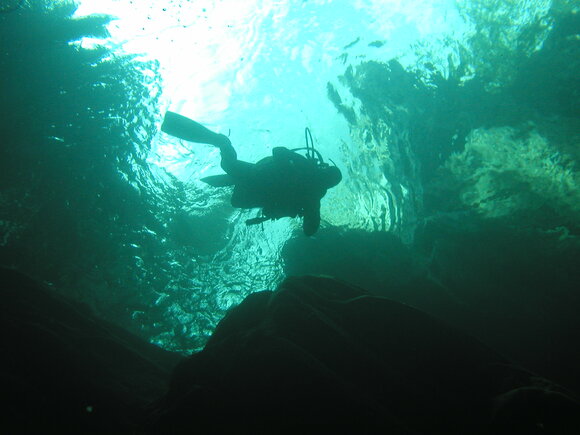 Taucher | © DTC Tauchschule Luzern