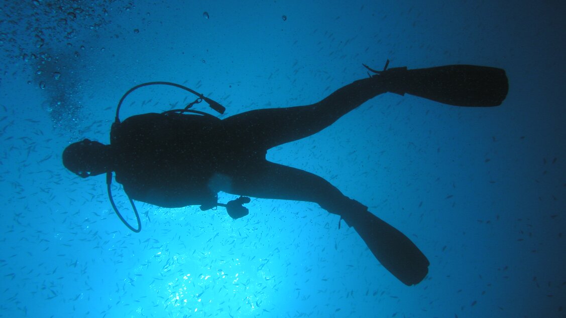 Taucher | © DTC Tauchschule Luzern Taucher | © DTC Tauchschule Luzern