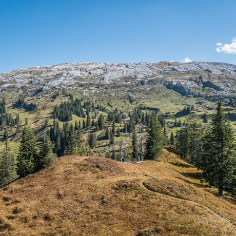 Bödmeren Richtung Silberen-Twärenen | © Stoos-Muotatal Tourismus