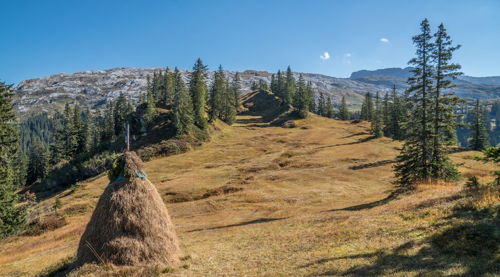 Bödmeren Richtung Silberen-Twärenen | © Stoos-Muotatal Tourismus