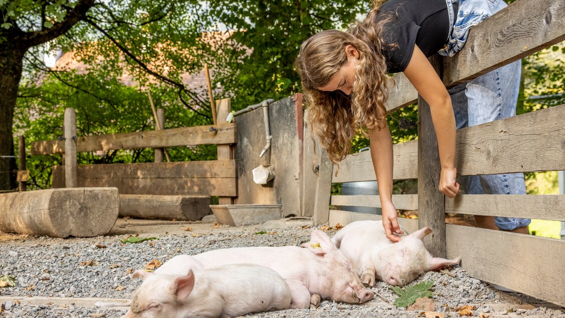 Schweingehege | © Freilichtmuseum Ballenberg