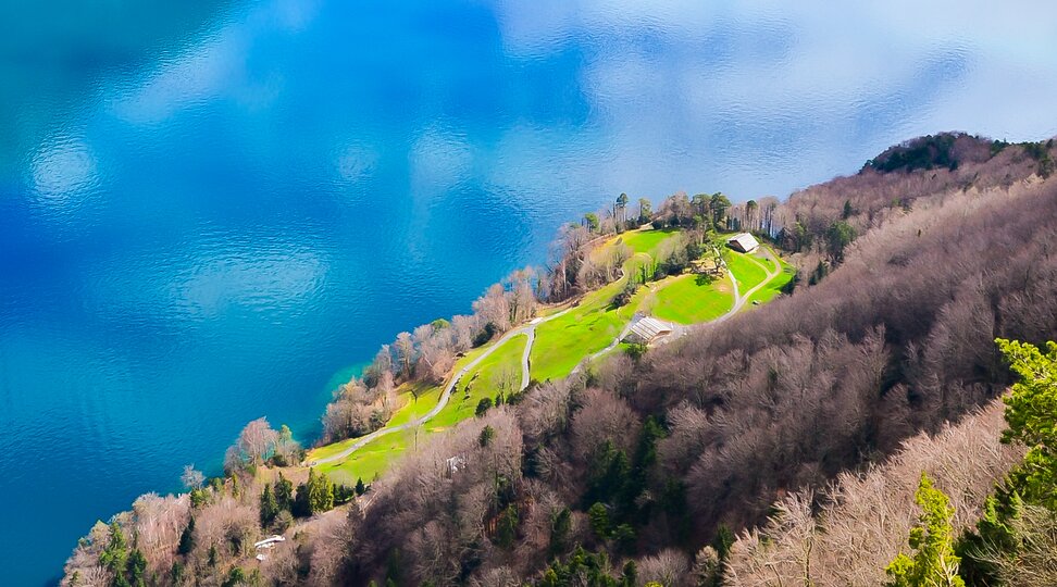 Rütliwiese Rütliwiese