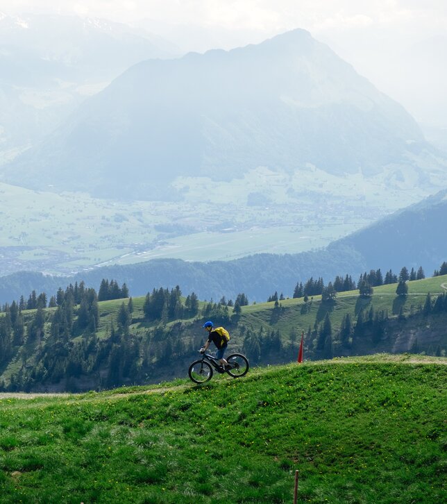 Mountainbike Mountainbike