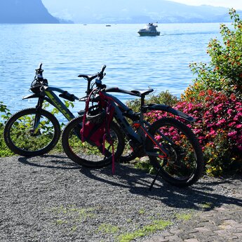 Bikes am Ufer des Vierwaldstättersees Bikes am Ufer des Vierwaldstättersees