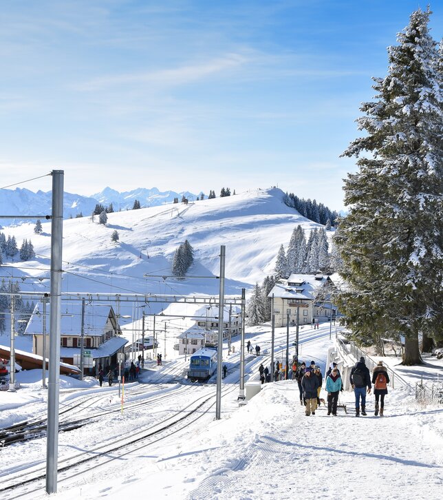 Rigi Staffel Rigi Staffel