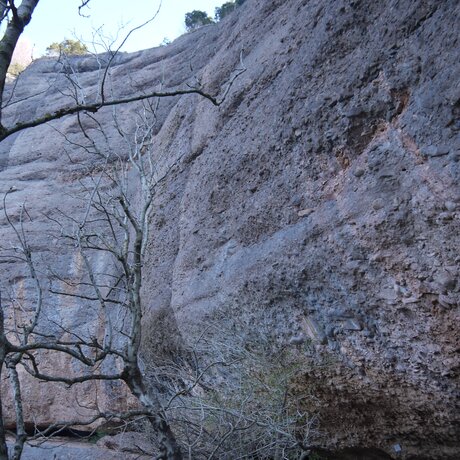 Höhenweg Vitznau - Steigelfadbalmhöhle