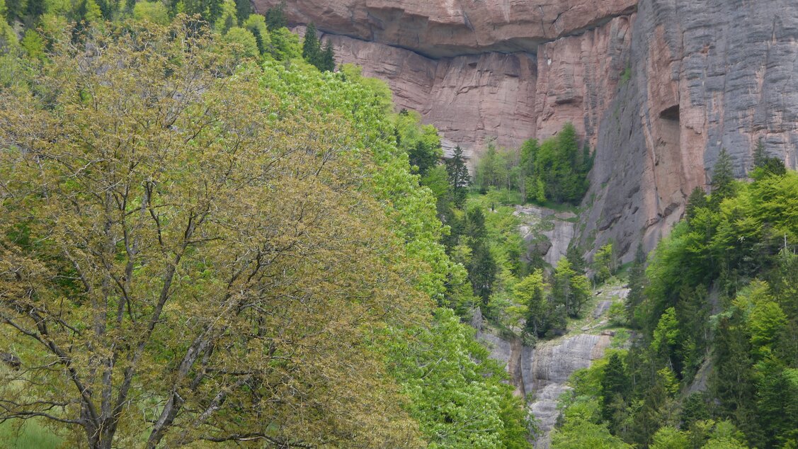 Höhenweg Vitznau - Blick Richtung Steigelfadbalm-Dossen Höhenweg Vitznau - Blick Richtung Steigelfadbalm-Dossen