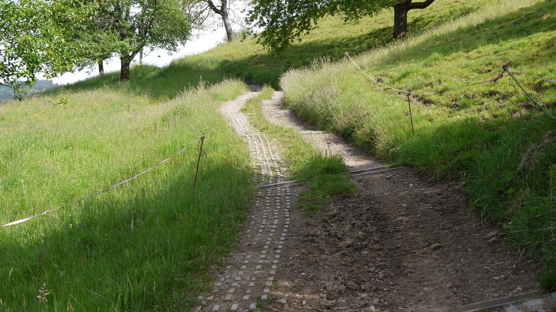 Höhenweg Vitznau - Rigiweg Höhenweg Vitznau - Rigiweg
