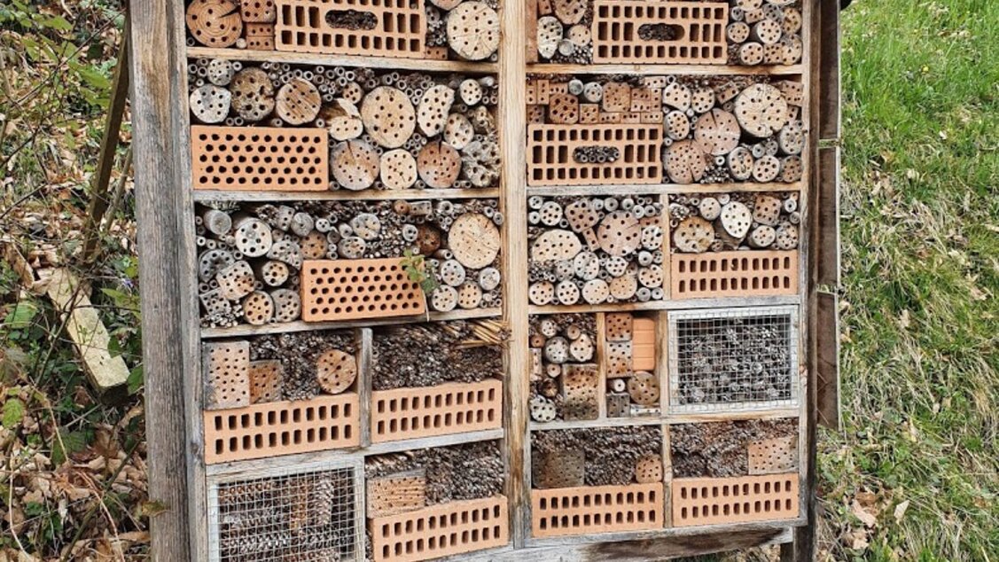 Panoramaweg Vitznau - Insektenhotel beim Plattenbänkli Panoramaweg Vitznau - Insektenhotel beim Plattenbänkli