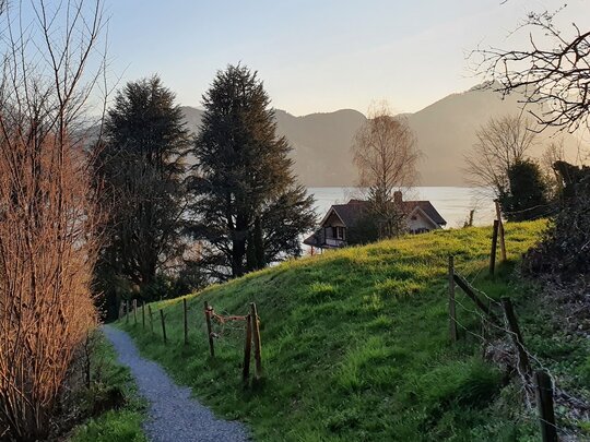 Panoramaweg Vitznau - Räckholderen