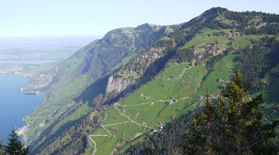 Vitznauerstock - Aussicht auf Hinterbergen Vitznauerstock - Aussicht auf Hinterbergen