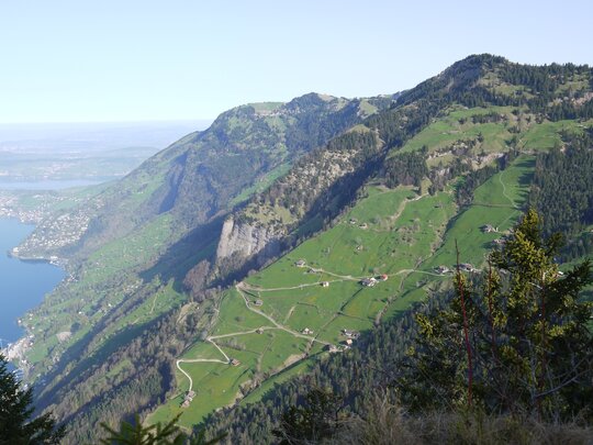 Vitznauerstock - Aussicht auf Hinterbergen