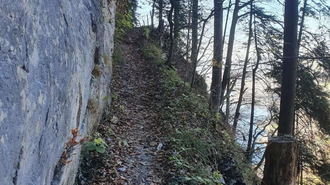 Vitznauerstock - Wanderweg unterhalb Wissifluh