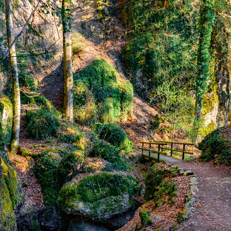 Vitznau Parkwald | © Herby-Foto-Art