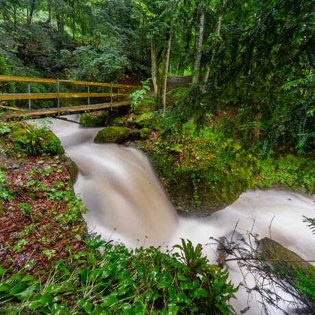 Vitznau Parkwald - Bachlauf | © Herby-Foto-Art Vitznau Parkwald - Bachlauf | © Herby-Foto-Art
