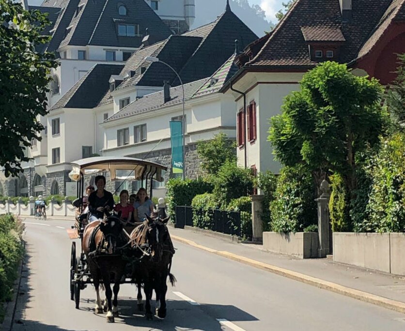 Kutschenfahrt durch Vitznau | © Pferdehof Buholz