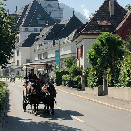 Kutschenfahrt durch Vitznau | © Pferdehof Buholz