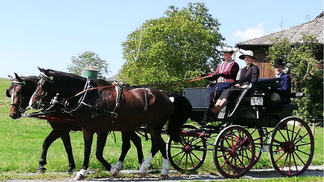 Traditionsturnier | © Pferdehof Buholz Traditionsturnier | © Pferdehof Buholz