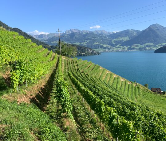 Landhof Muracher | © M. Tschuor Landhof Muracher | © M. Tschuor